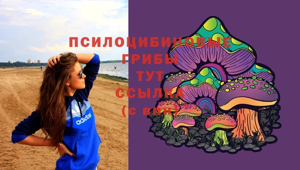 не бодяженный Арсеньев