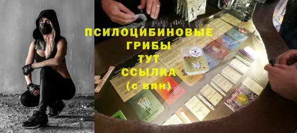 не бодяженный Арсеньев
