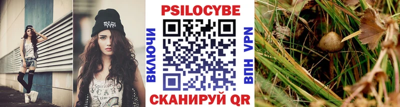 Галлюциногенные грибы Psilocybe  Ухта 